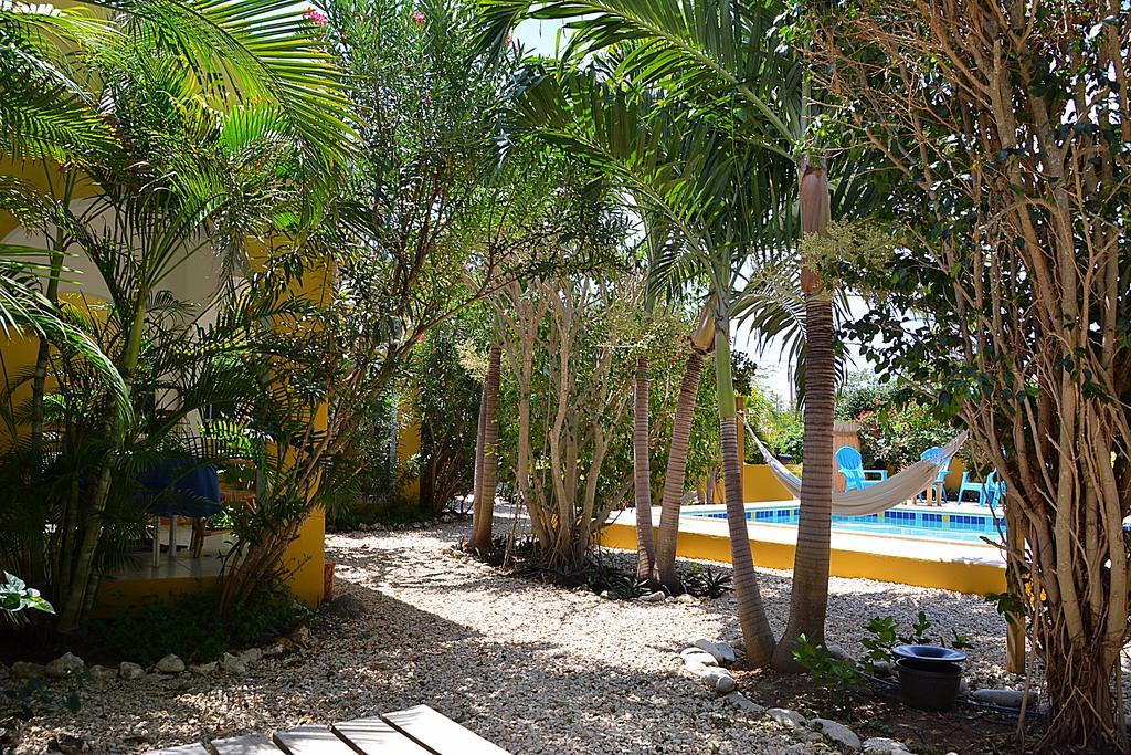 Casa Di Mario Kralendijk Exterior foto